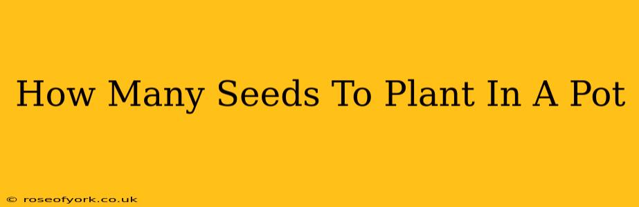 How Many Seeds To Plant In A Pot