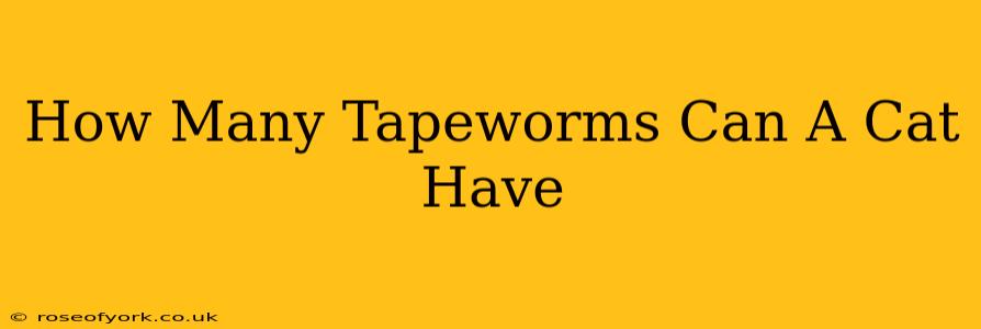 How Many Tapeworms Can A Cat Have