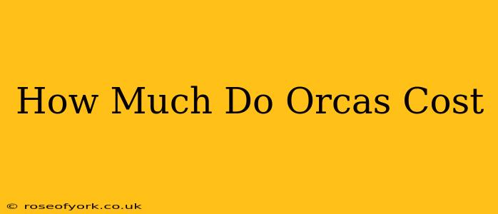 How Much Do Orcas Cost