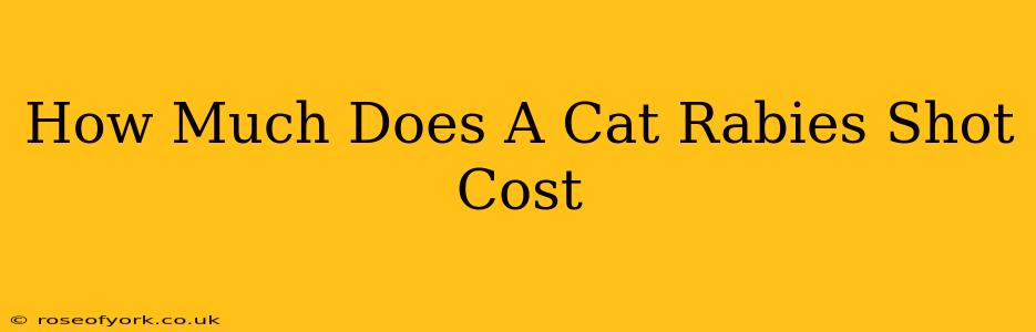 How Much Does A Cat Rabies Shot Cost