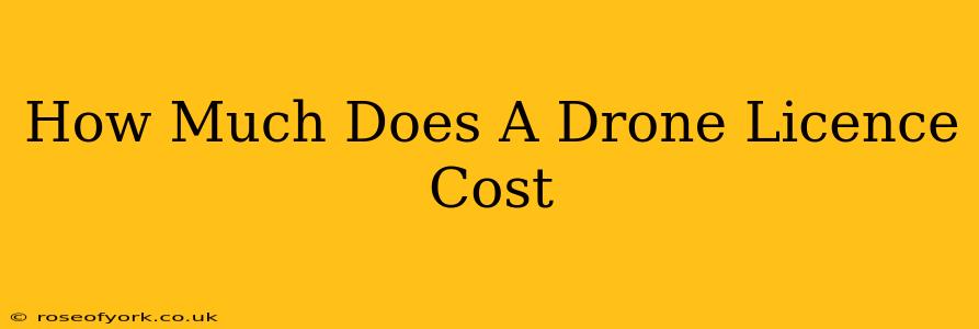 How Much Does A Drone Licence Cost