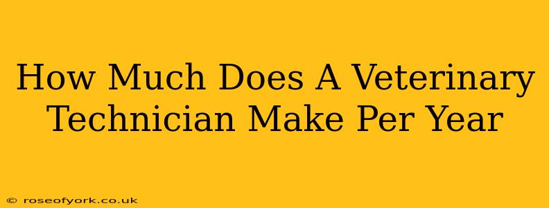 How Much Does A Veterinary Technician Make Per Year