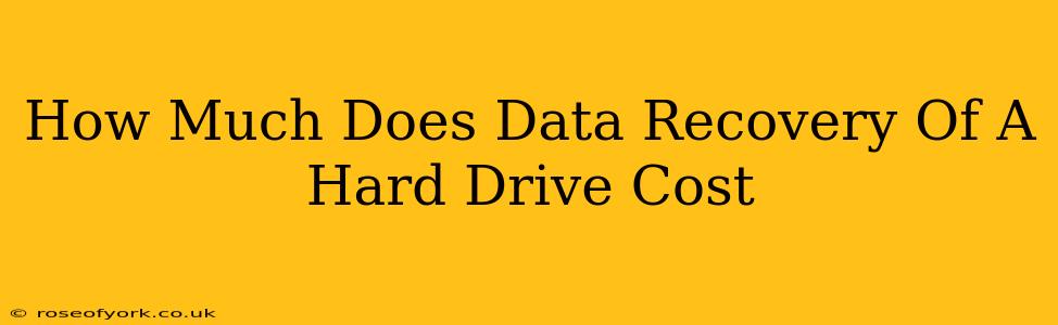 How Much Does Data Recovery Of A Hard Drive Cost