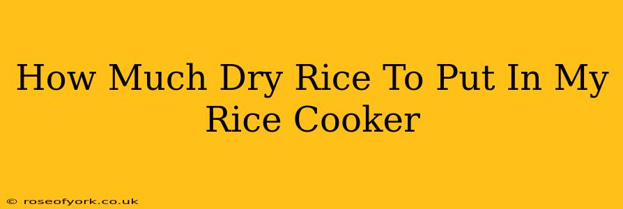 How Much Dry Rice To Put In My Rice Cooker