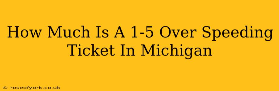 How Much Is A 1-5 Over Speeding Ticket In Michigan