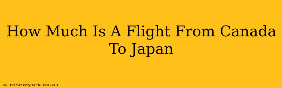 How Much Is A Flight From Canada To Japan