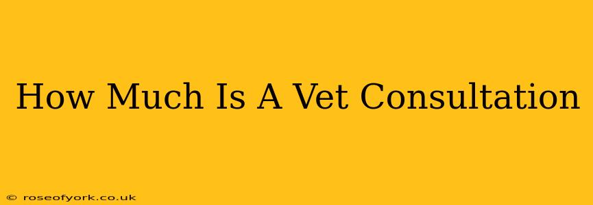 How Much Is A Vet Consultation