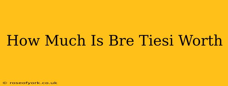 How Much Is Bre Tiesi Worth