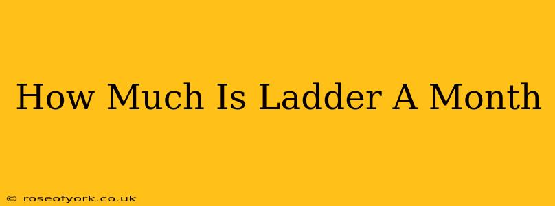 How Much Is Ladder A Month