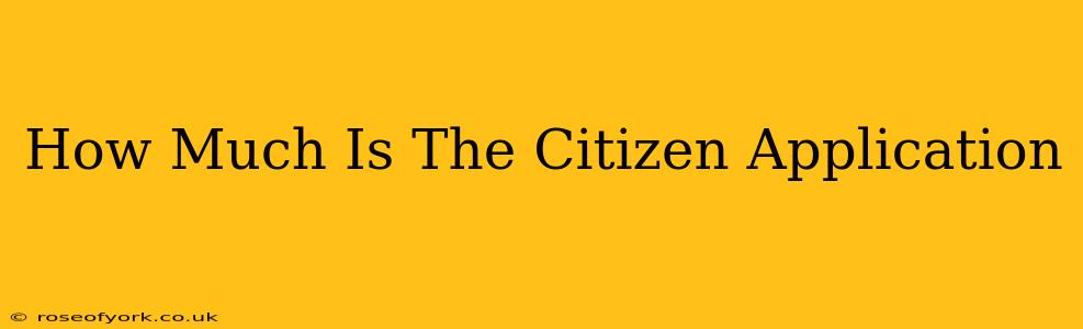 How Much Is The Citizen Application