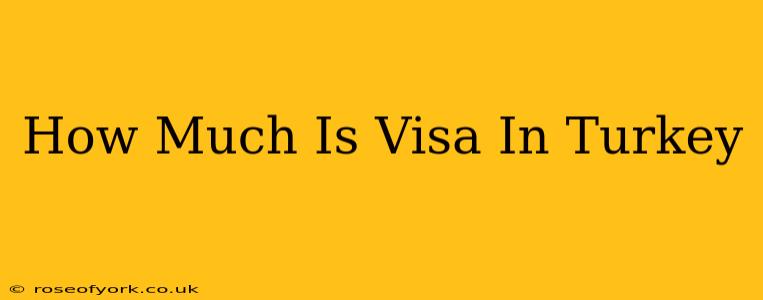 How Much Is Visa In Turkey