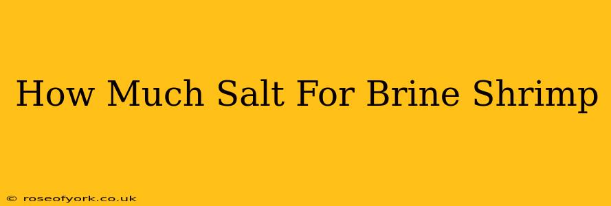 How Much Salt For Brine Shrimp