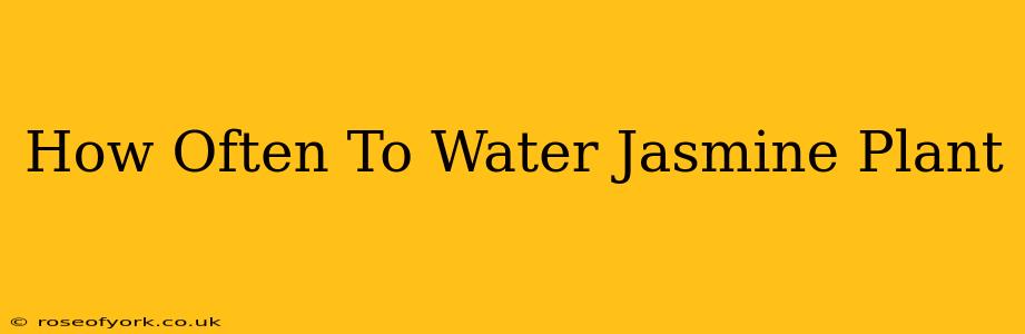 How Often To Water Jasmine Plant