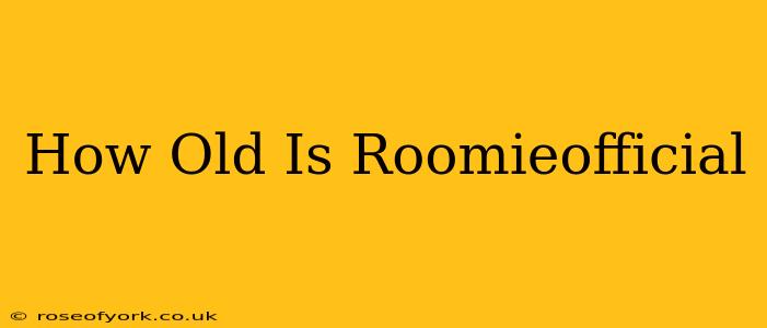 How Old Is Roomieofficial