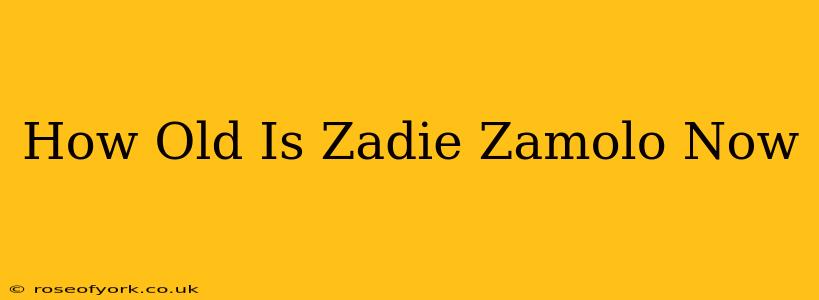 How Old Is Zadie Zamolo Now