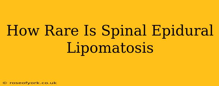 How Rare Is Spinal Epidural Lipomatosis