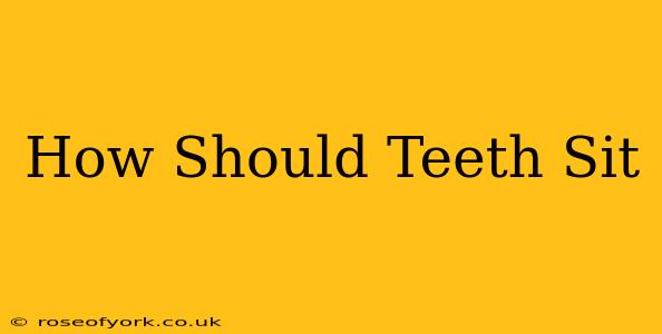 How Should Teeth Sit