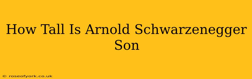 How Tall Is Arnold Schwarzenegger Son