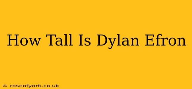 How Tall Is Dylan Efron