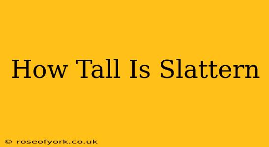 How Tall Is Slattern