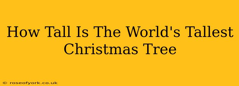 How Tall Is The World's Tallest Christmas Tree