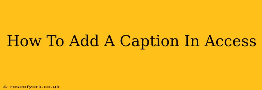 How To Add A Caption In Access