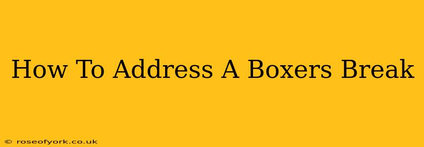 How To Address A Boxers Break