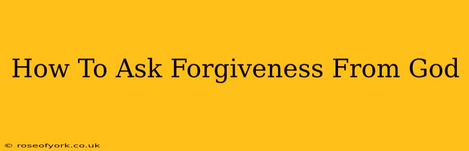 How To Ask Forgiveness From God