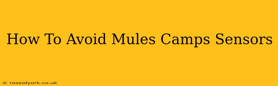 How To Avoid Mules Camps Sensors