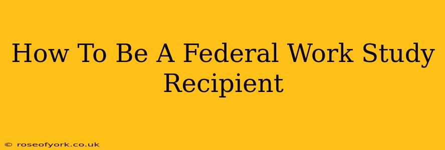 How To Be A Federal Work Study Recipient