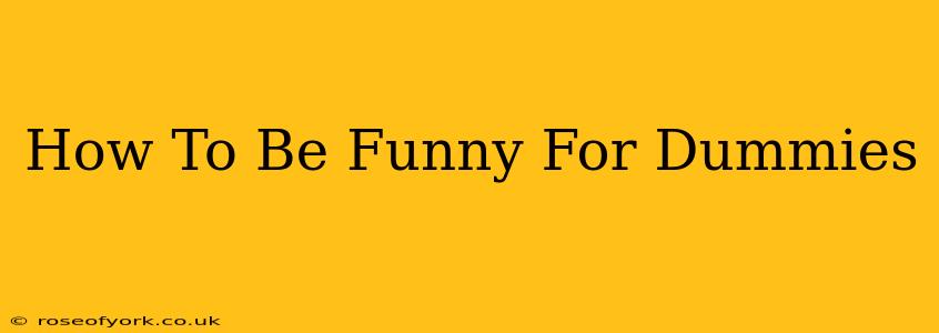 How To Be Funny For Dummies