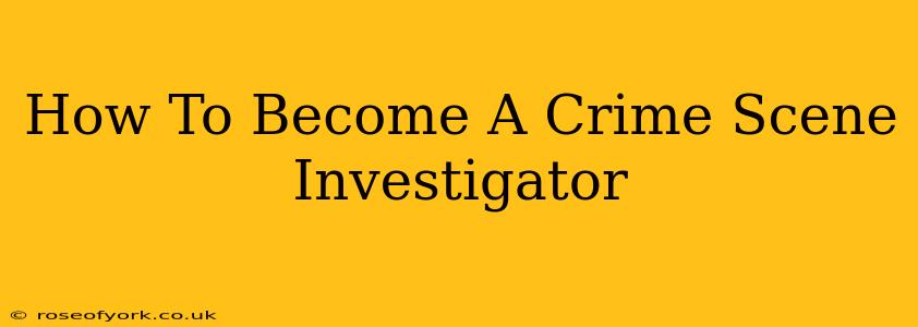 How To Become A Crime Scene Investigator