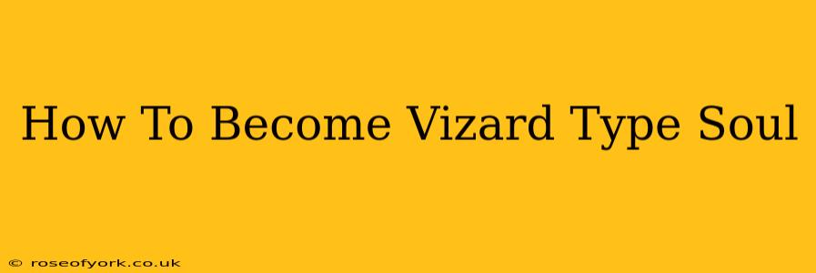 How To Become Vizard Type Soul