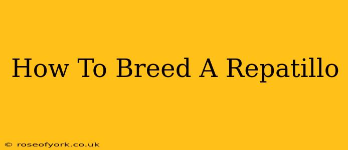 How To Breed A Repatillo