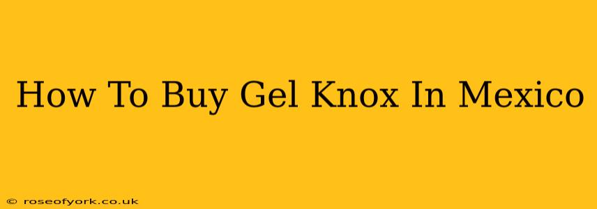 How To Buy Gel Knox In Mexico