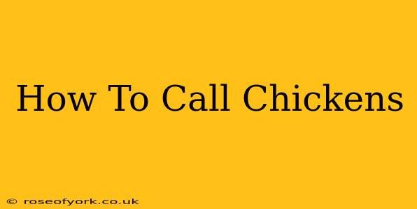 How To Call Chickens