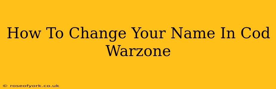 How To Change Your Name In Cod Warzone