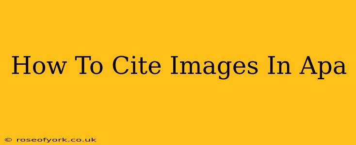 How To Cite Images In Apa