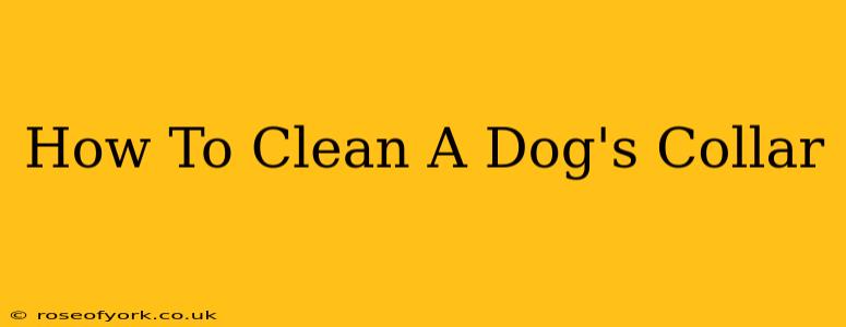 How To Clean A Dog's Collar