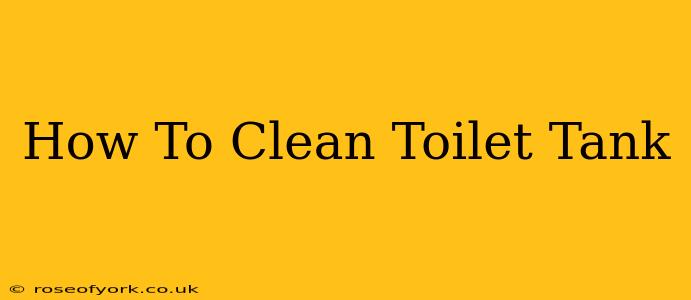 How To Clean Toilet Tank