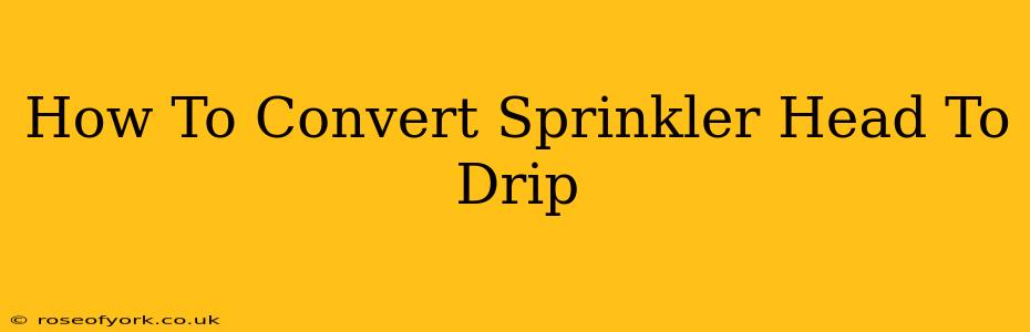 How To Convert Sprinkler Head To Drip