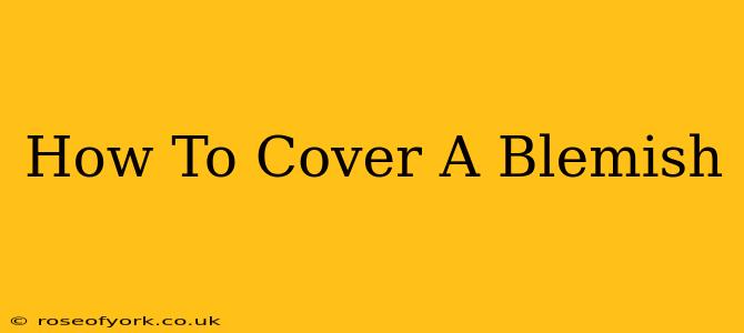 How To Cover A Blemish