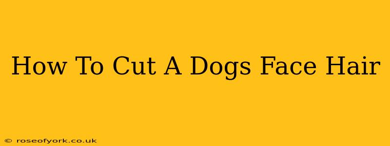 How To Cut A Dogs Face Hair