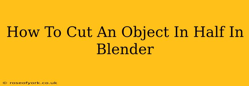 How To Cut An Object In Half In Blender