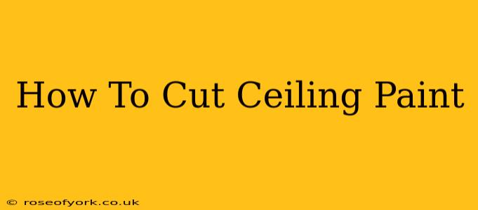 How To Cut Ceiling Paint