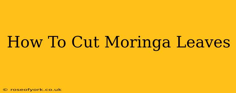 How To Cut Moringa Leaves