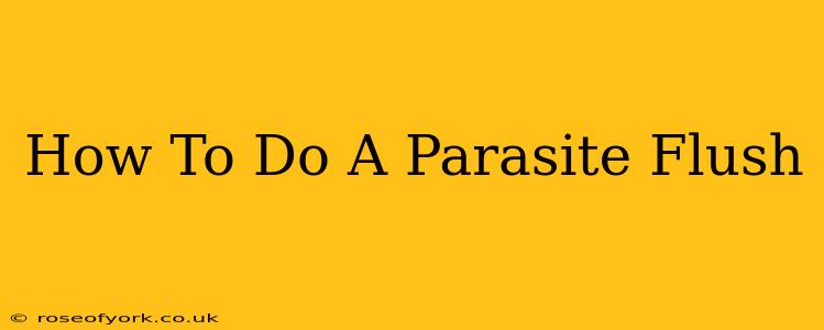 How To Do A Parasite Flush