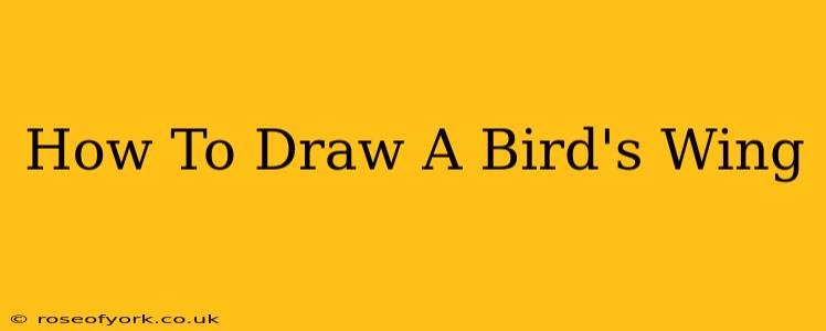 How To Draw A Bird's Wing