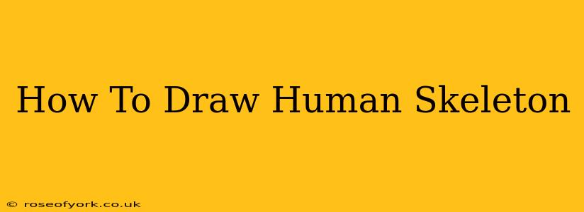 How To Draw Human Skeleton