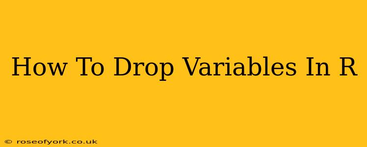 How To Drop Variables In R